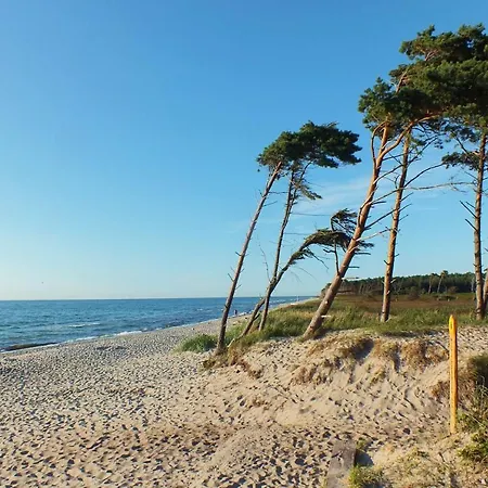 Im Klonhus * Prerow
